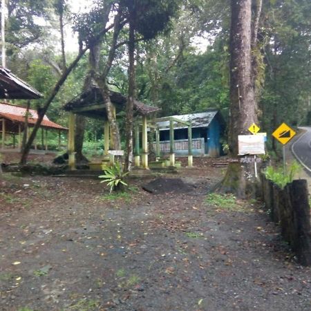 Ijen Mansjestic B&B Tamansuruh Екстер'єр фото