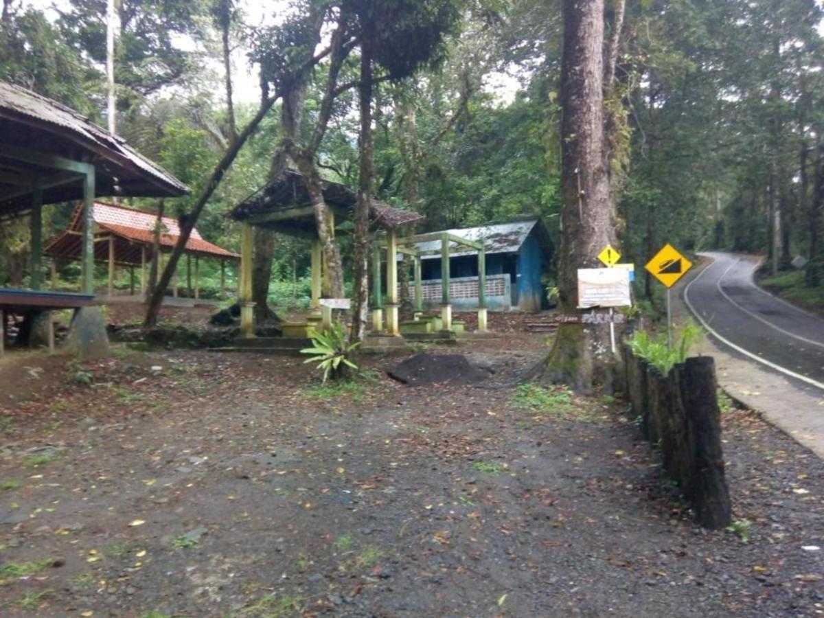 Ijen Mansjestic B&B Tamansuruh Екстер'єр фото
