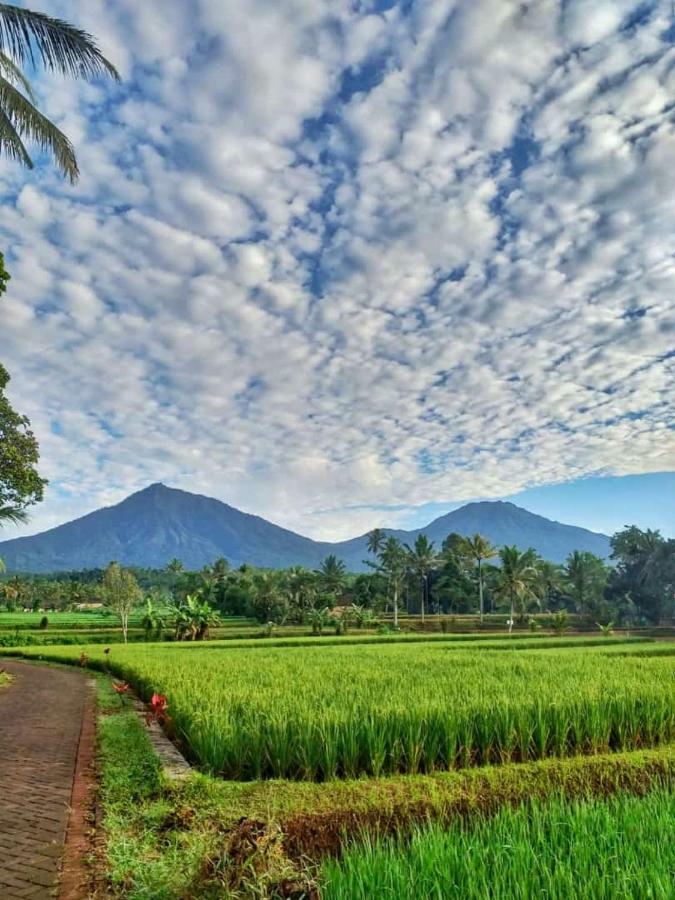 Ijen Mansjestic B&B Tamansuruh Екстер'єр фото